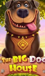 The Big Dog House